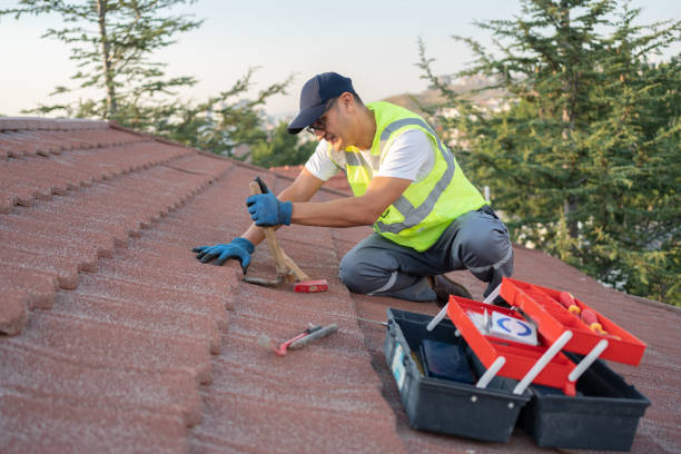 Best Shingle Roofing Installation  in Kerens, TX